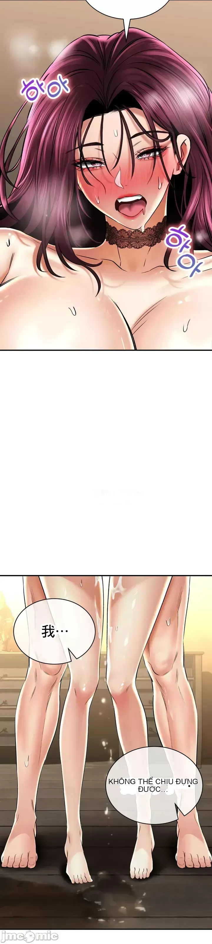 Cuộc nói chuyện thảo dược Chương 1-80