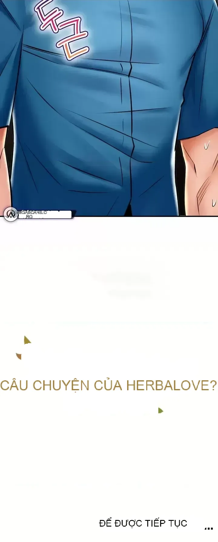 Cuộc nói chuyện thảo dược Chương 1-80