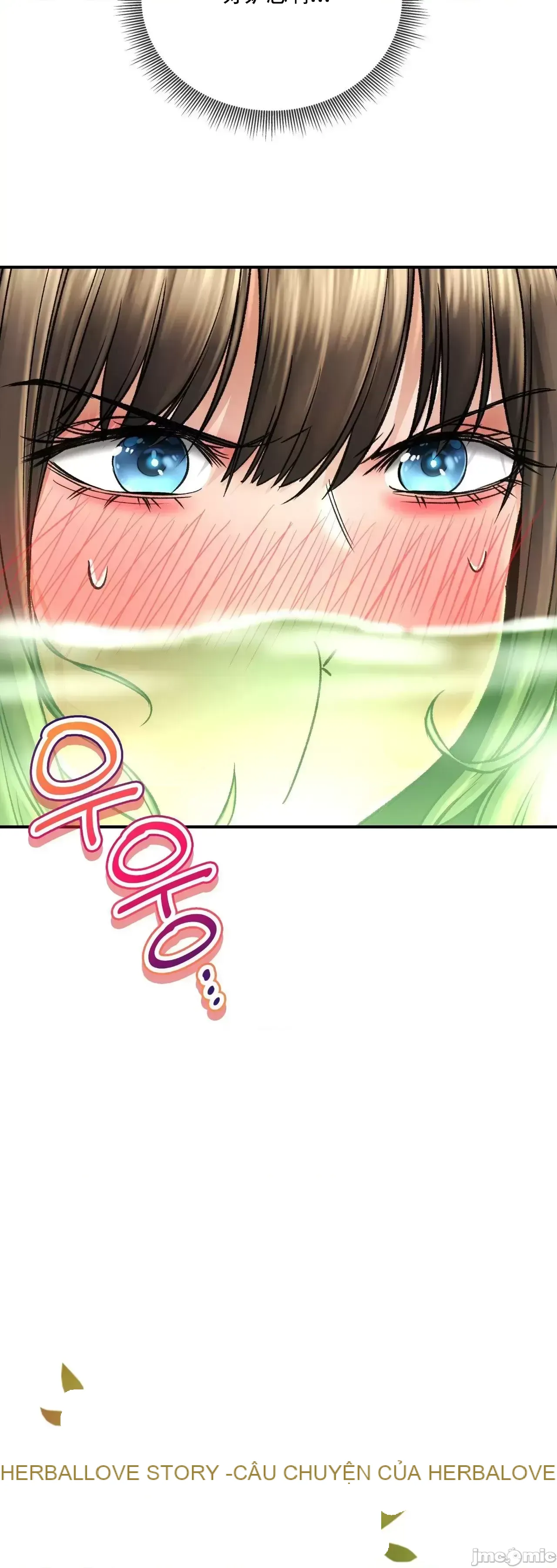 Cuộc nói chuyện thảo dược Chương 1-80