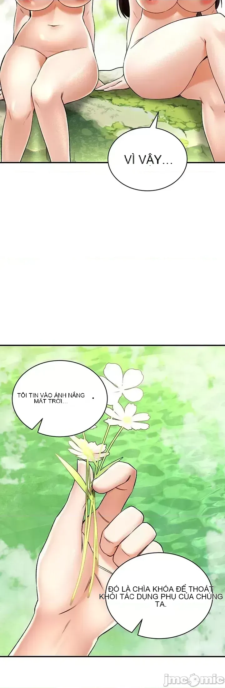 Cuộc nói chuyện thảo dược Chương 1-80