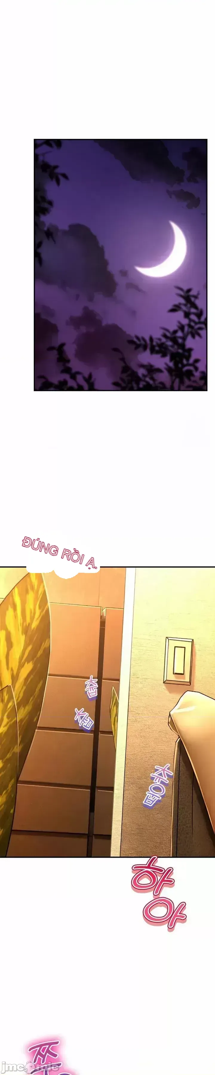 Cuộc nói chuyện thảo dược Chương 1-80