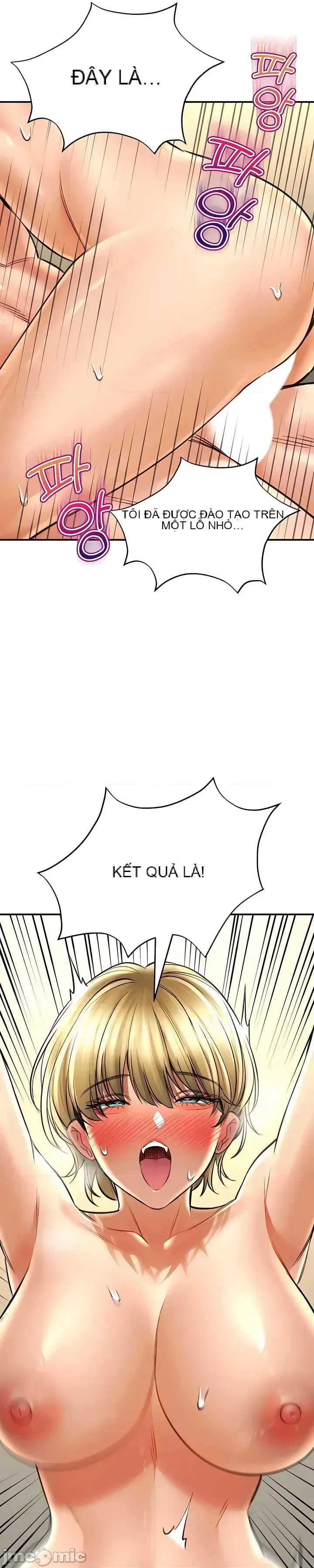 Cuộc nói chuyện thảo dược Chương 1-80