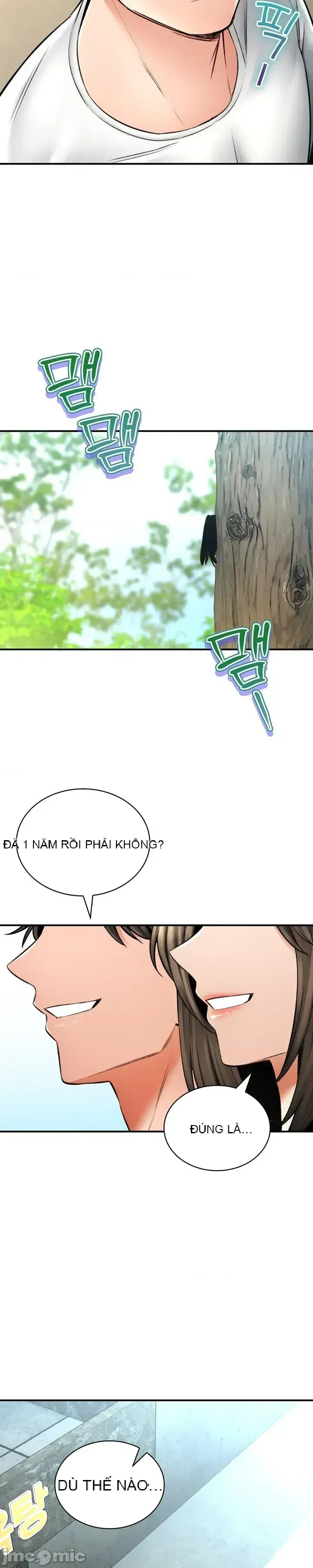 Cuộc nói chuyện thảo dược Chương 1-80