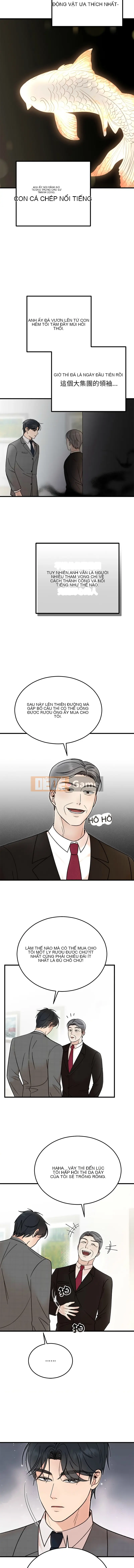 Sự ràng buộc hôn nhân Chương 34-35