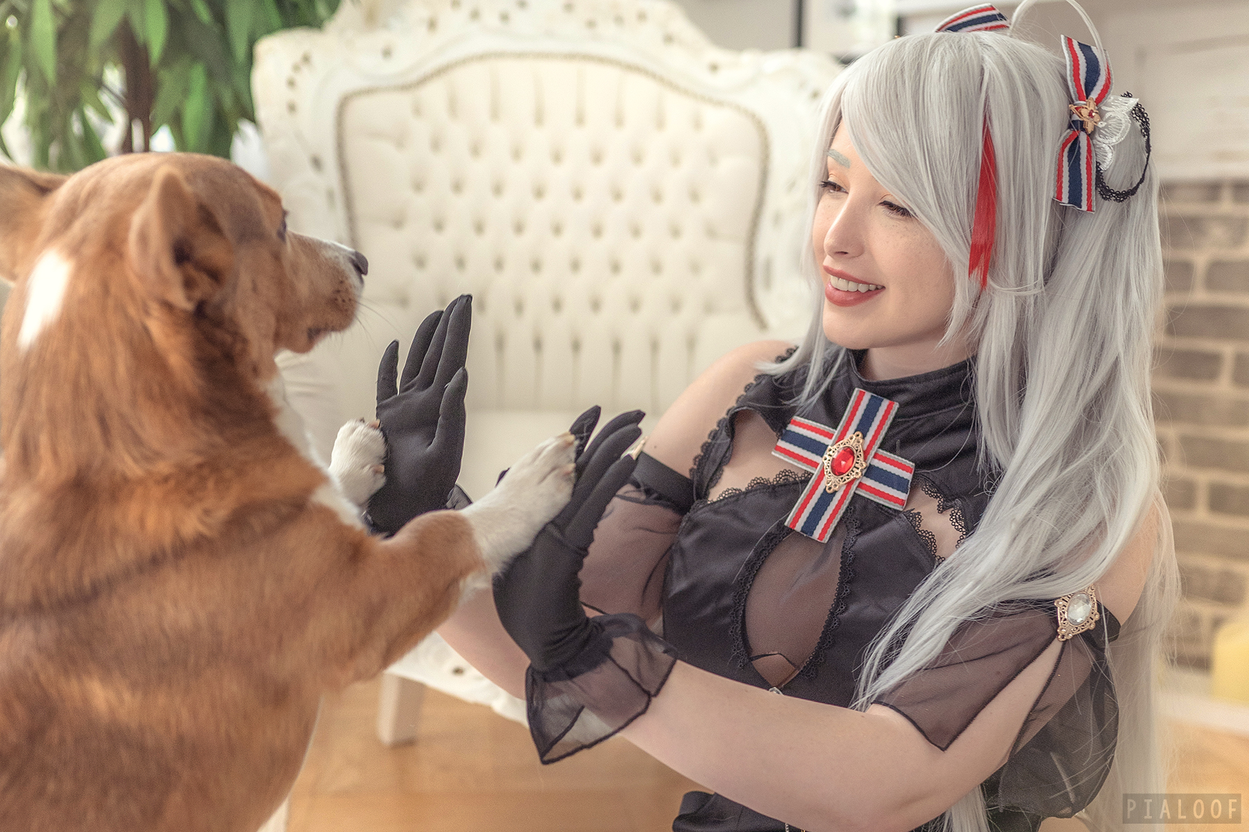 [Pialoof] Hoàng tử Eugen - Prinz Eugen Cordial Conflower