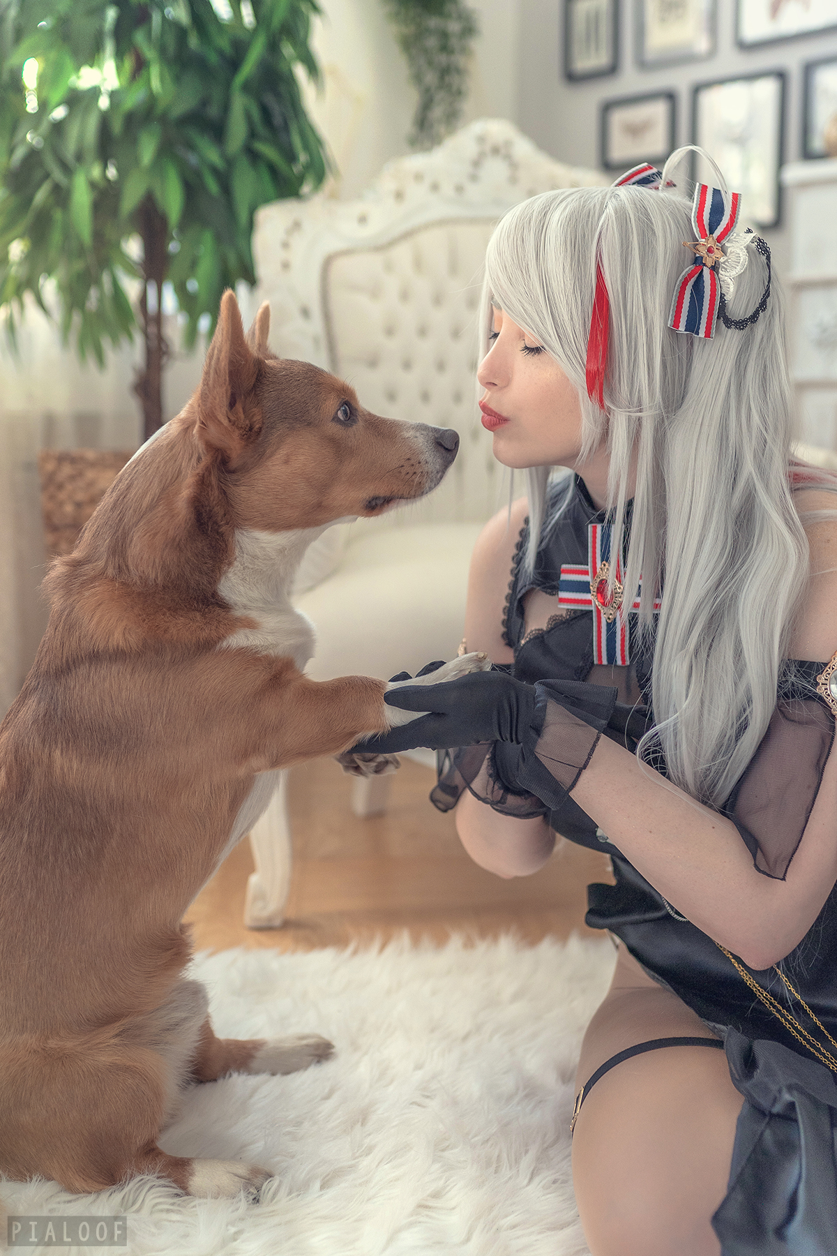 [Pialoof] Hoàng tử Eugen - Prinz Eugen Cordial Conflower