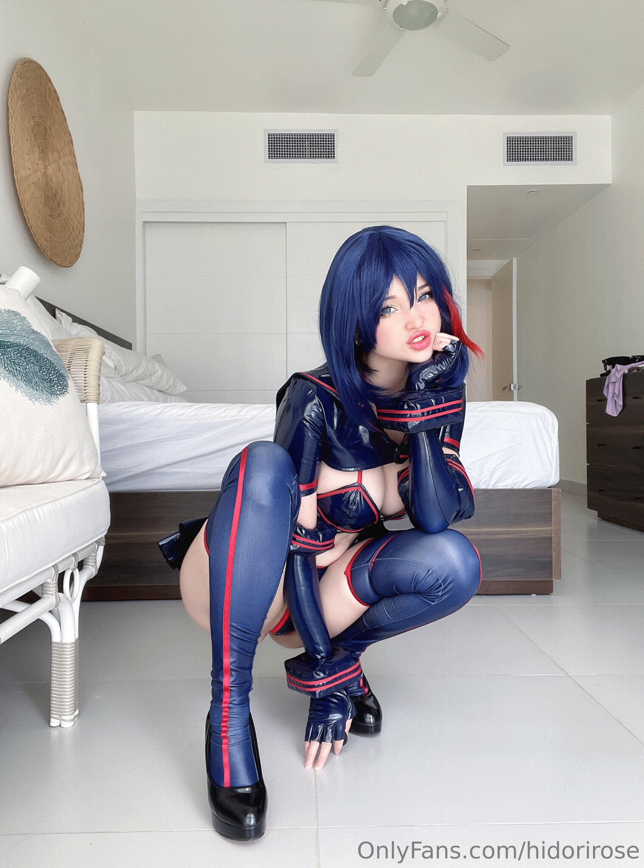 Hidori Rose - Ryuko Mato