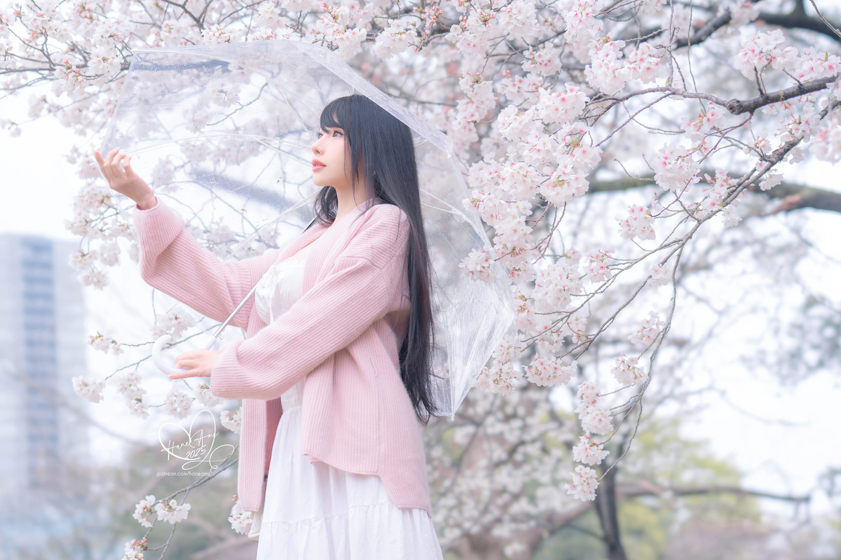 [Haneame Yubo] Cuộc hẹn ban đầu dưới thời Yuying