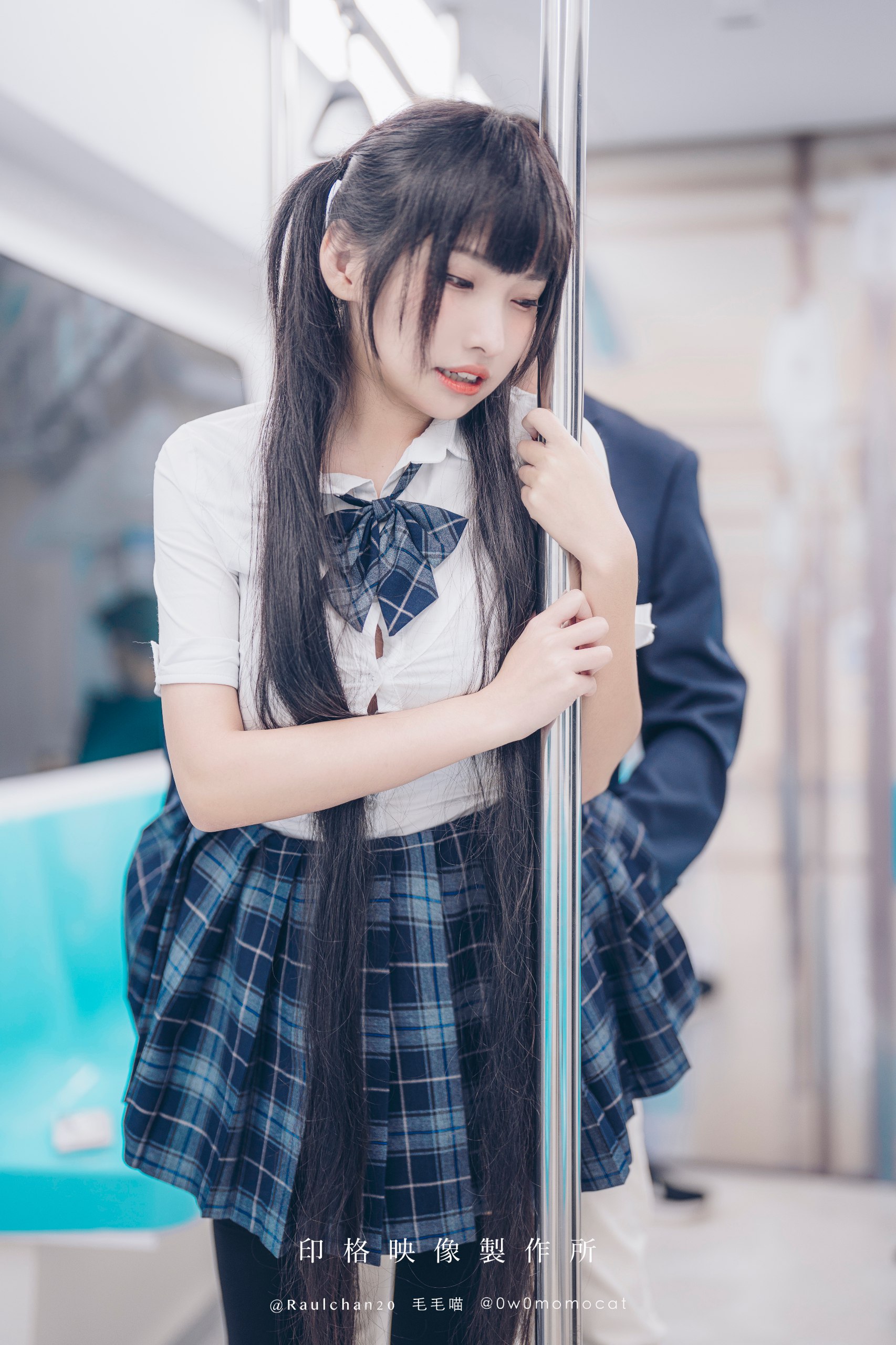 Mèo không tóc (Momocat) - Xe buýt