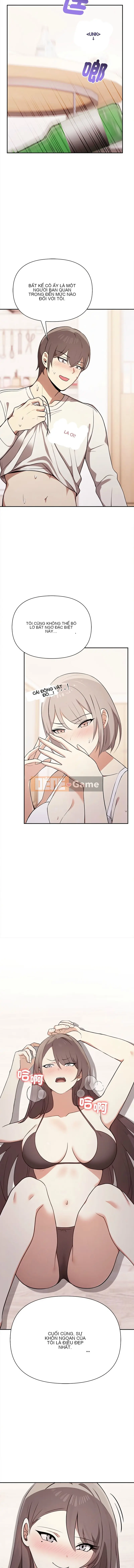 Thật ra tôi rất thích bạn Chương 37-50