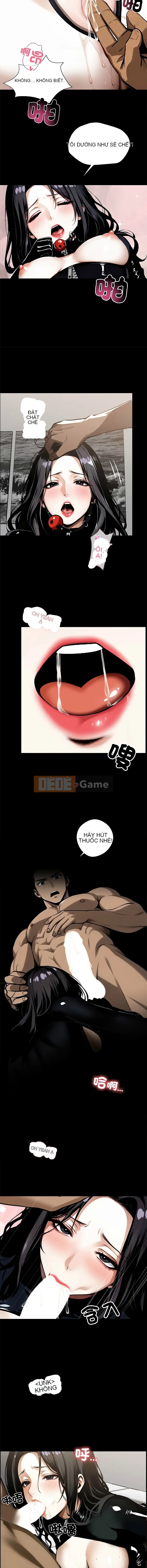 Thế giới ngầm x-offere Chương 1-14