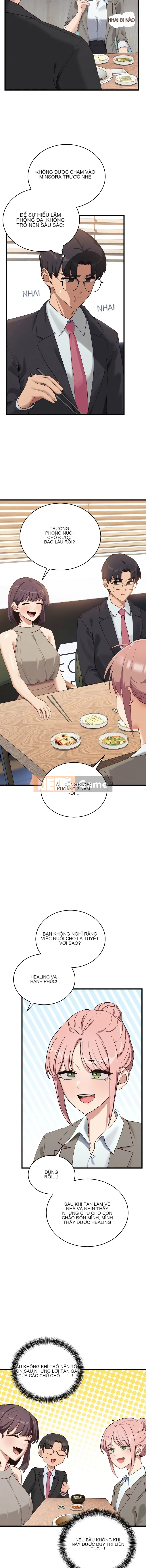 Tốt hơn là một con chó Chương 11-12
