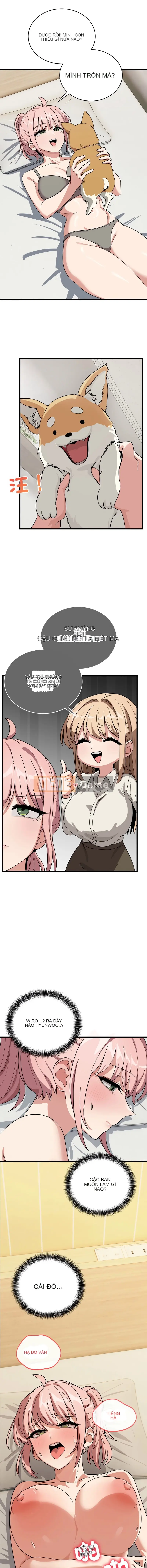 Tốt hơn là một con chó Chương 11-12