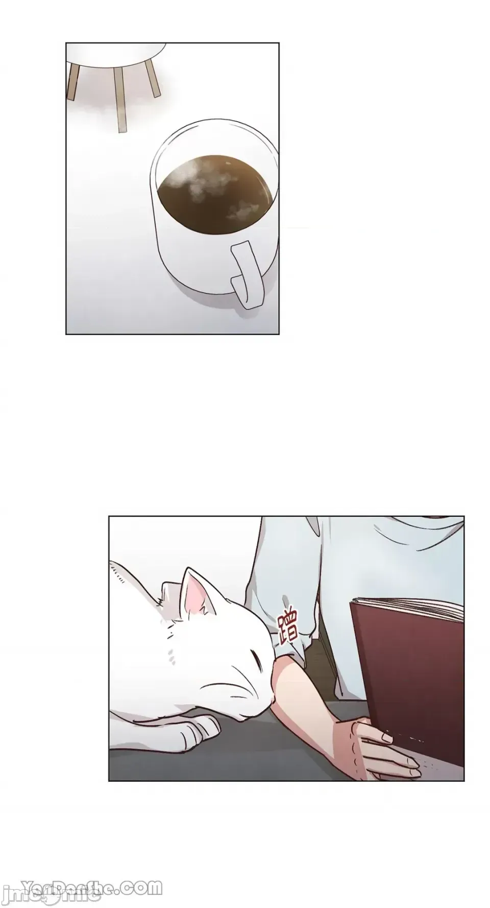 Hãy đến nhà tôi để vui vẻ Chương 1-66