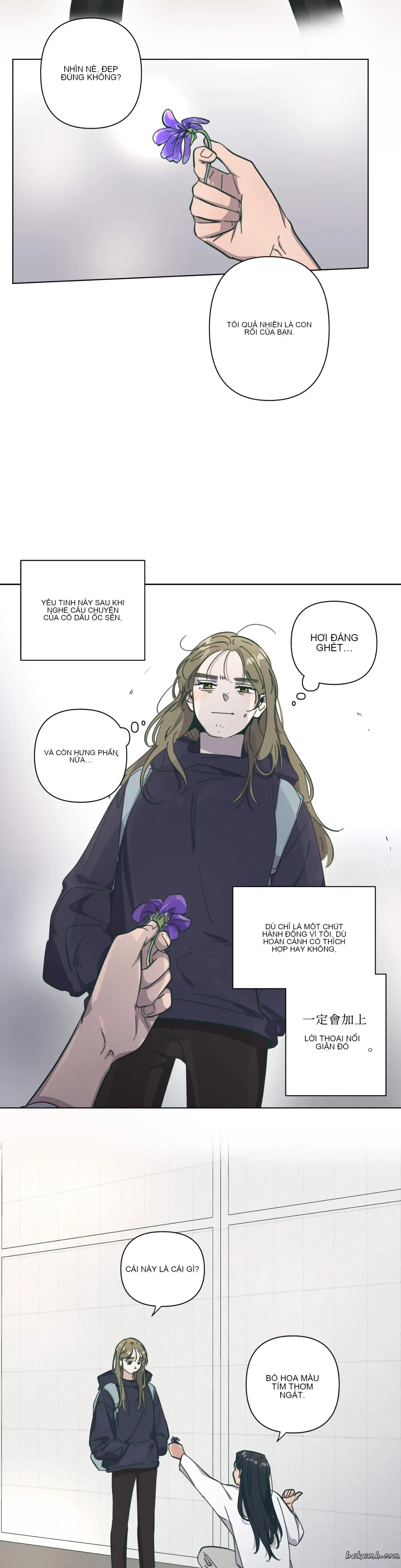 Hạnh phúc đến trên chổi Chương 1-30