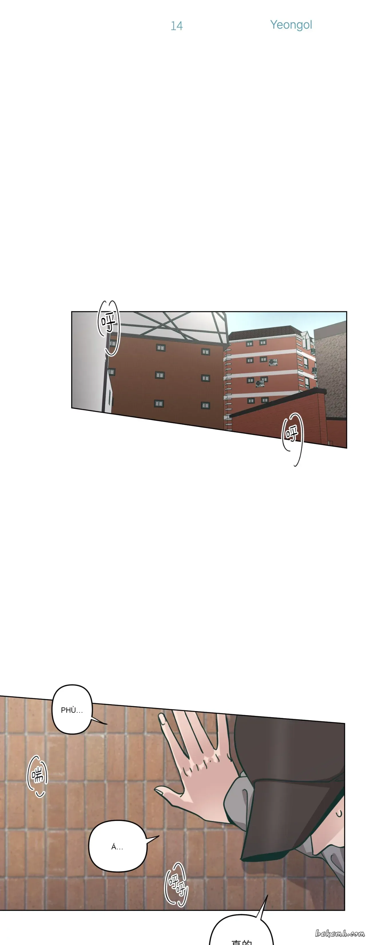 Hạnh phúc đến trên chổi Chương 1-30