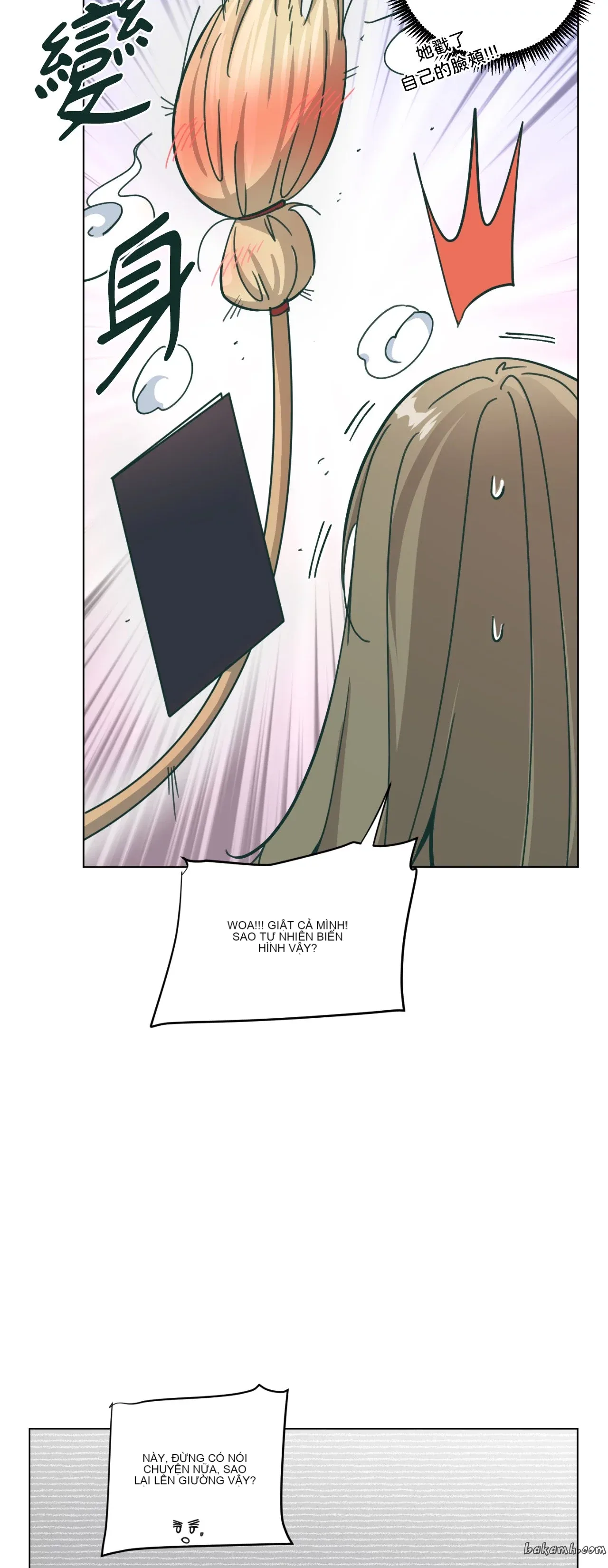 Hạnh phúc đến trên chổi Chương 1-30