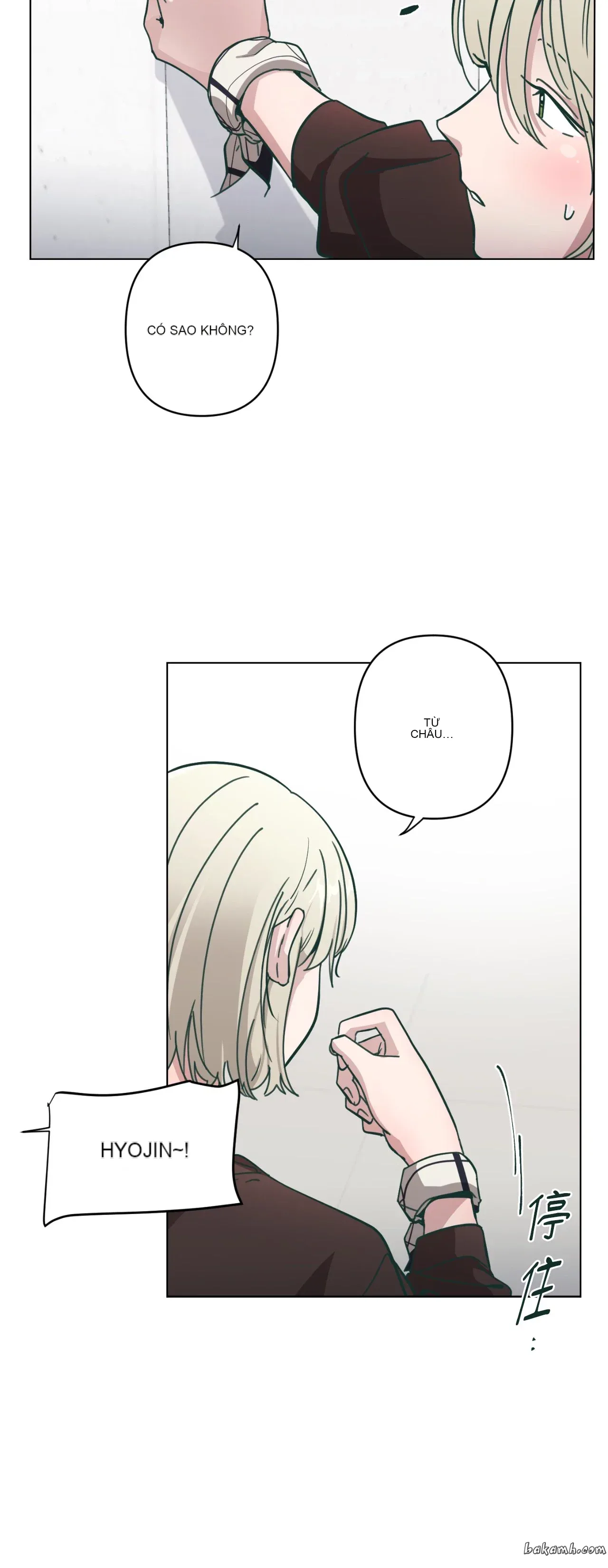 Hạnh phúc đến trên chổi Chương 1-30