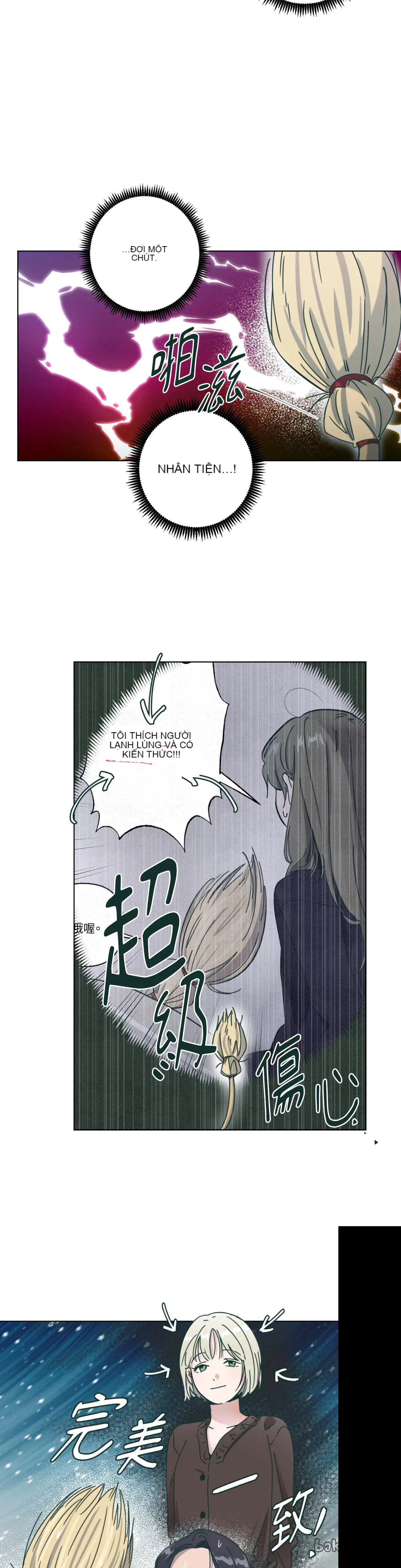 Hạnh phúc đến trên chổi Chương 1-30