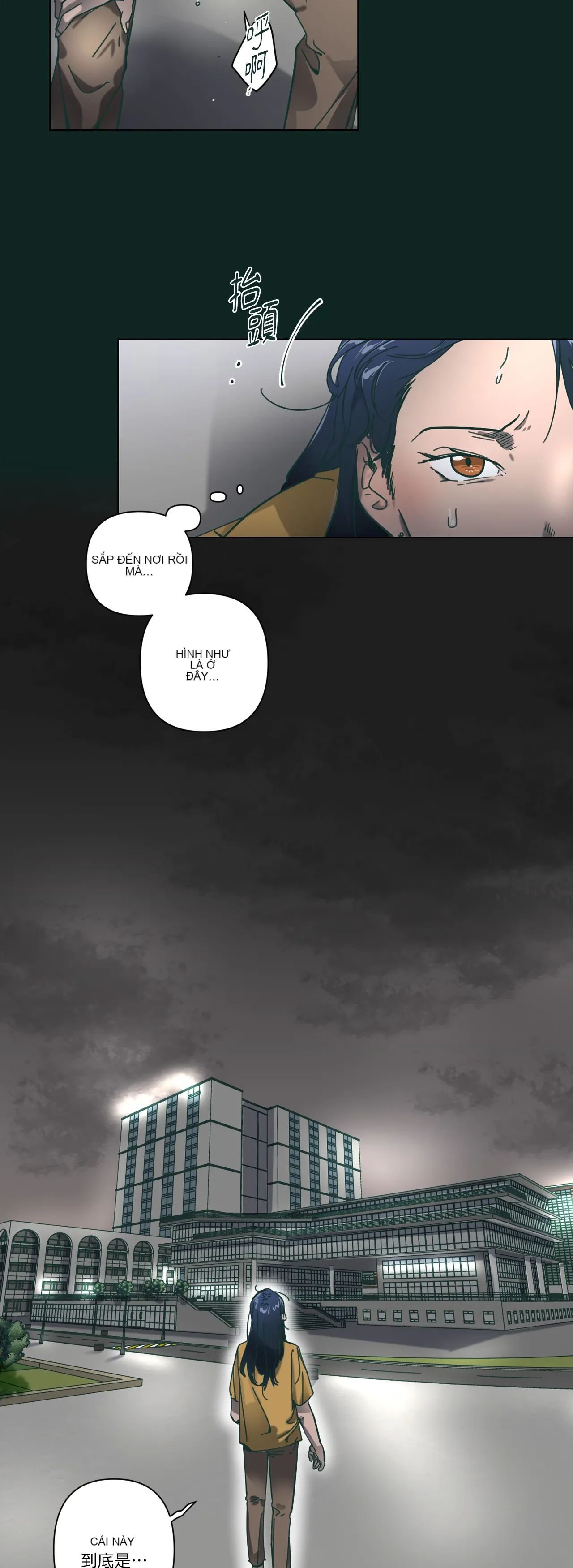 Hạnh phúc đến trên chổi Chương 1-30