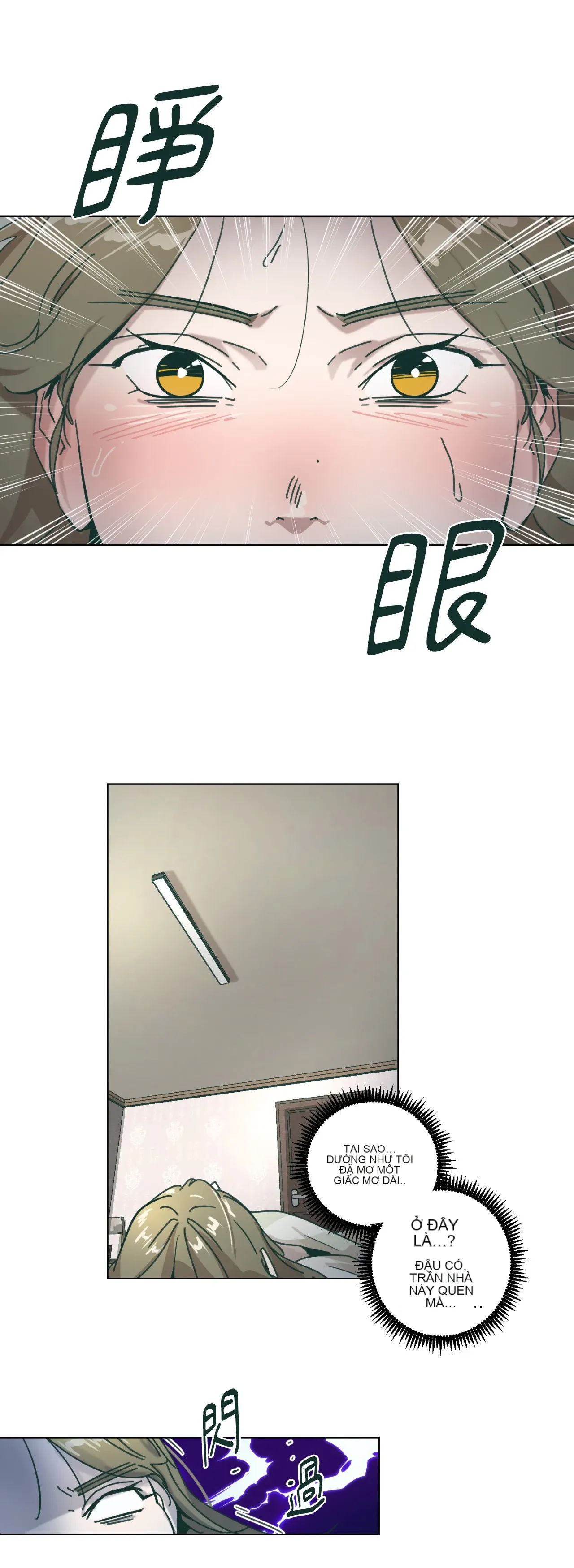 Hạnh phúc đến trên chổi Chương 1-30