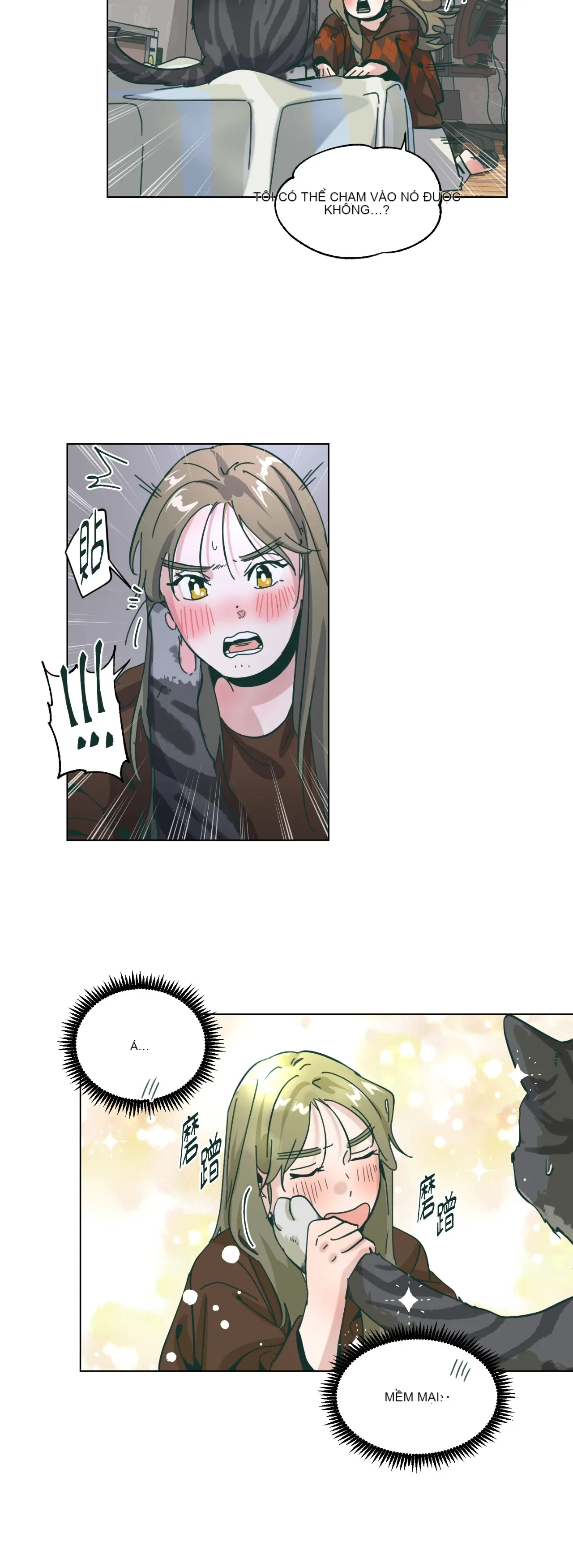 Hạnh phúc đến trên chổi Chương 1-30