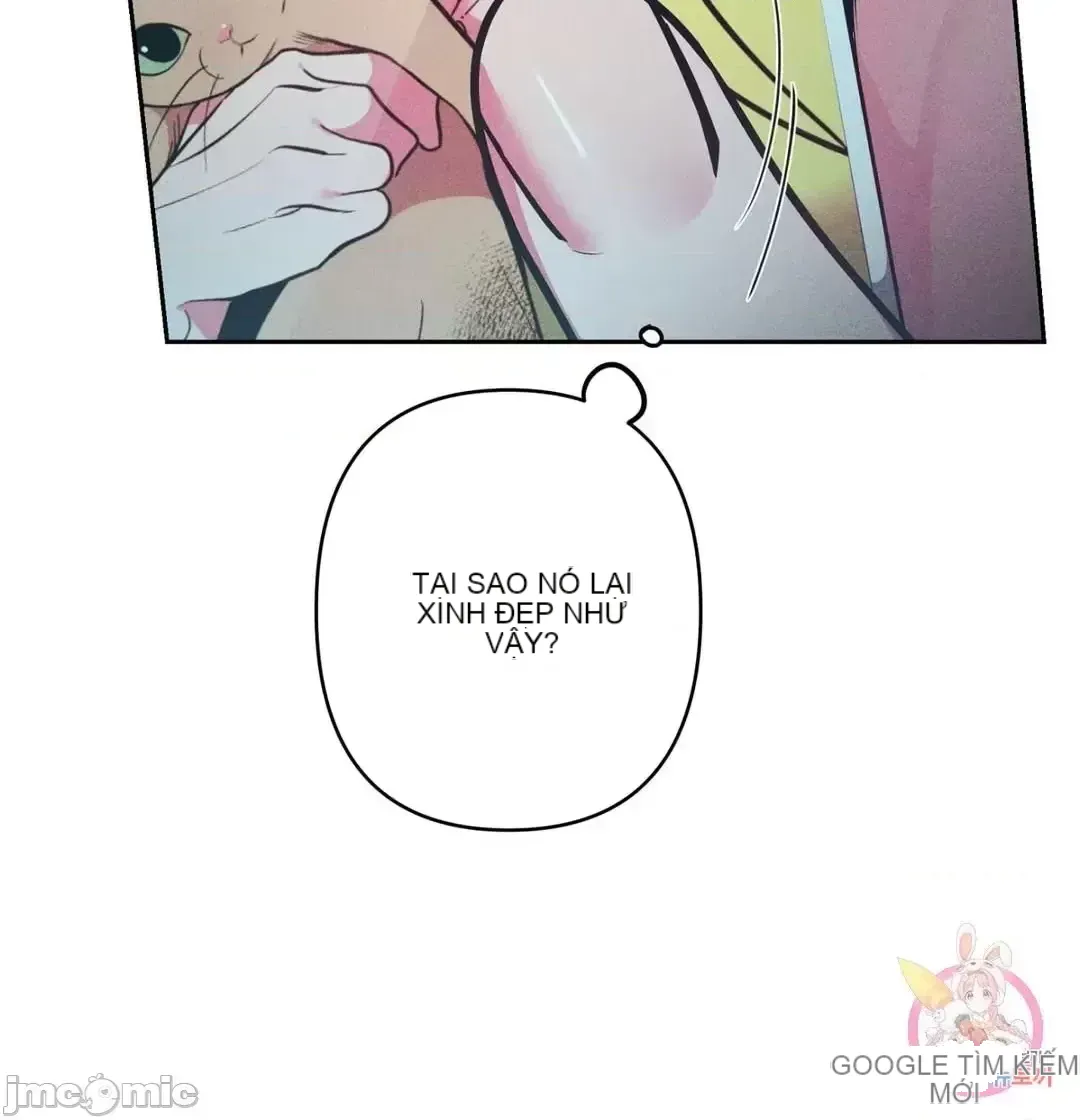 Người phụ nữ khó chịu - Tình yêu -- Chương 1-34