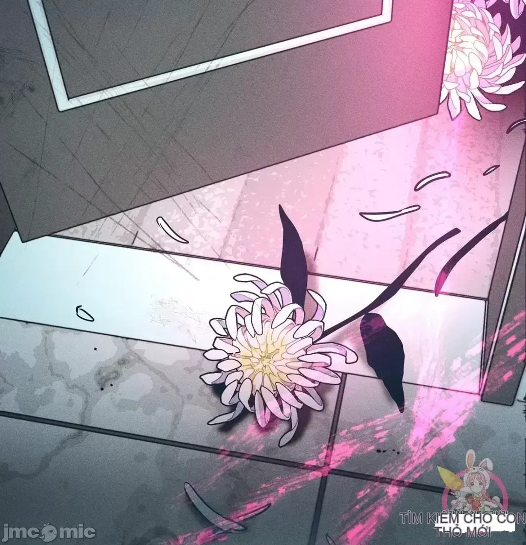 Người phụ nữ khó chịu - Tình yêu -- Chương 1-34