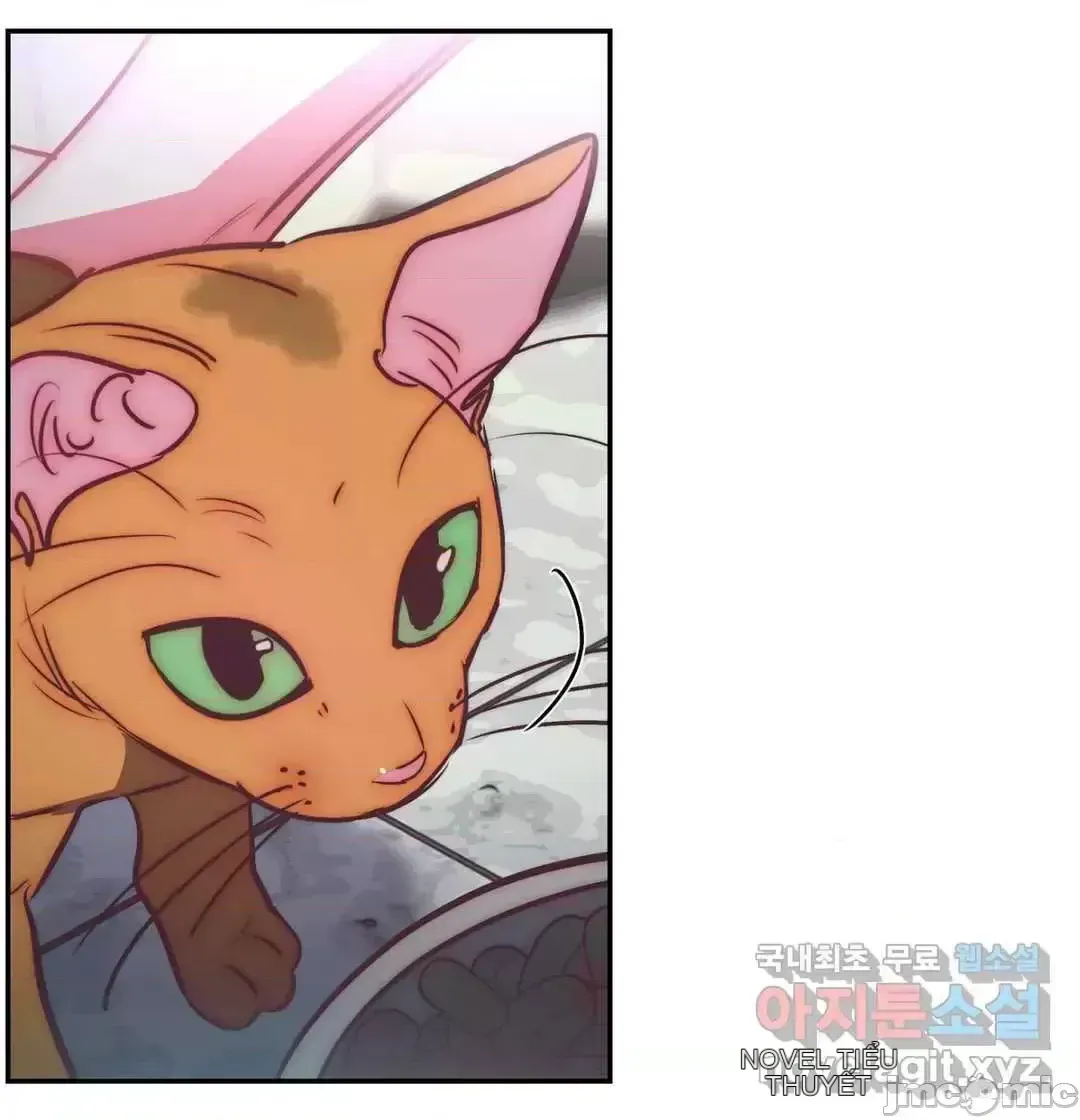 Người phụ nữ khó chịu - Tình yêu -- Chương 1-34