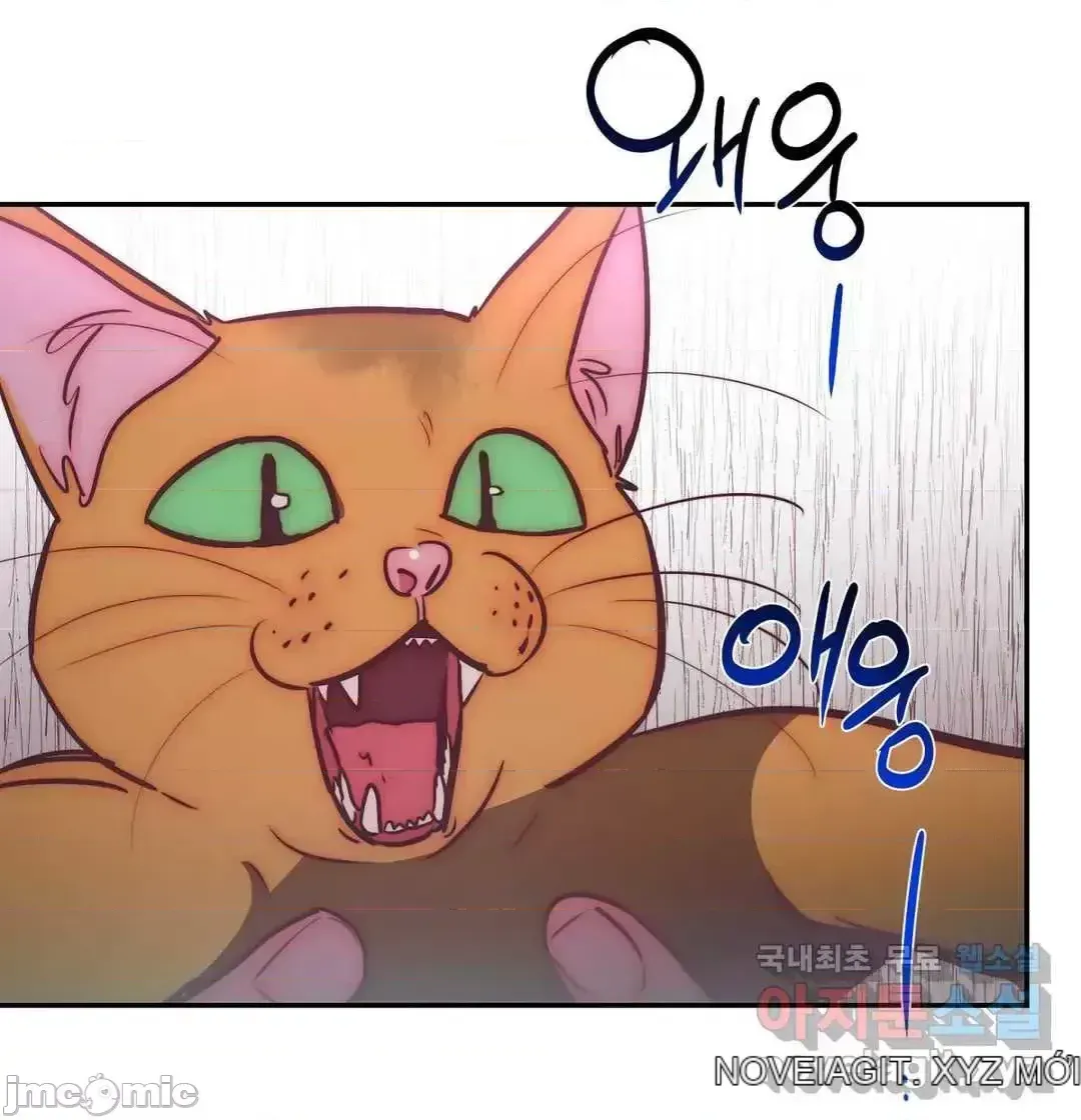 Người phụ nữ khó chịu - Tình yêu -- Chương 1-34