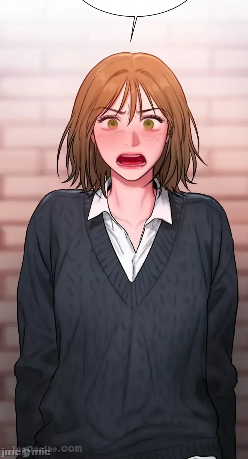 Ý tưởng xấu Nhật ký -- Chương 1-60