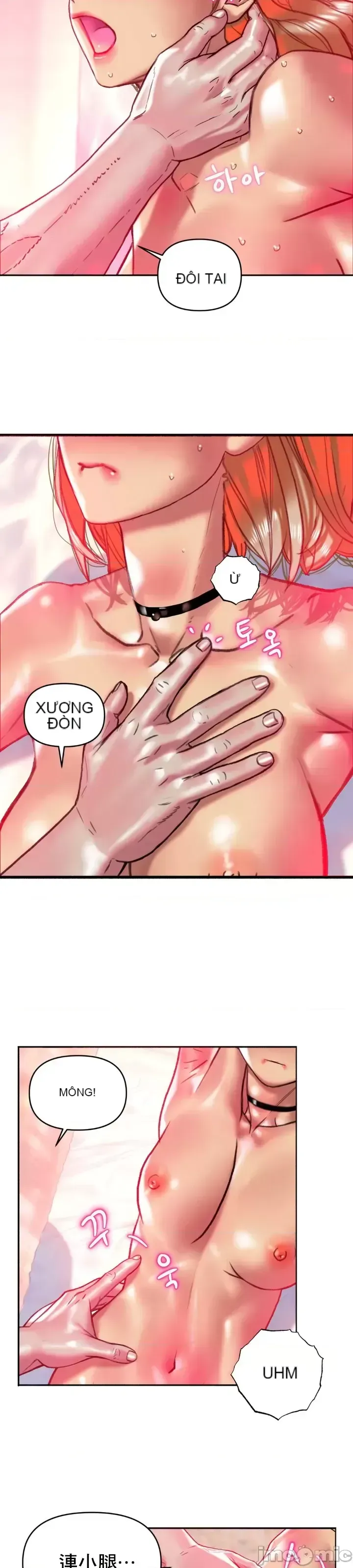 Một người phụ nữ đã kết hôn ở Xincheng Chương 1-64