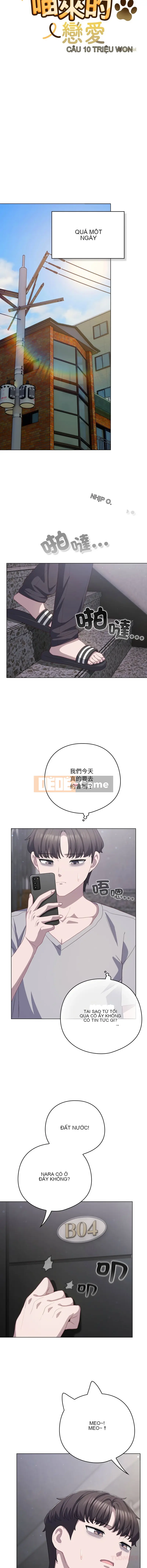Tình yêu của Mow Chương 28-29