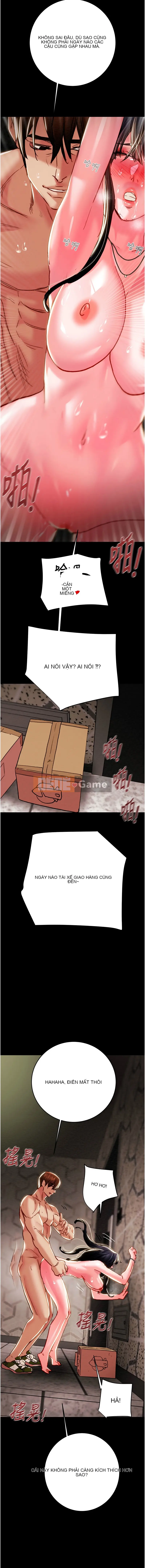 Cướp bóc Chương 65-66