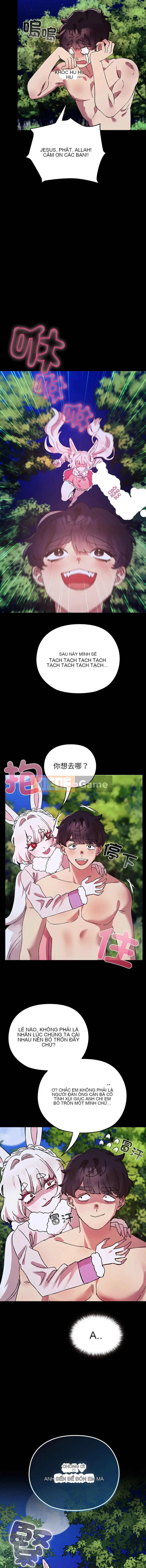 Tiểu sử của bà Mao Chương 8