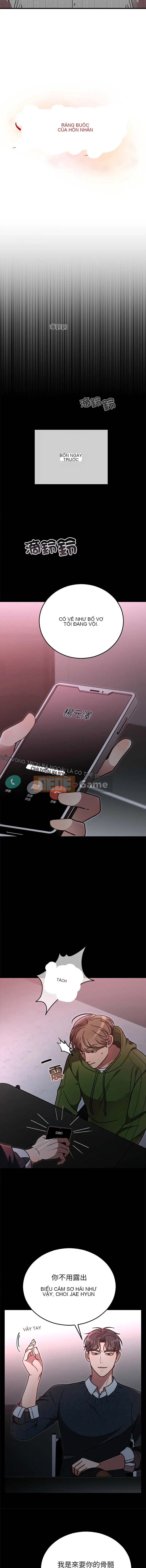 Sự ràng buộc hôn nhân Chương 46-47
