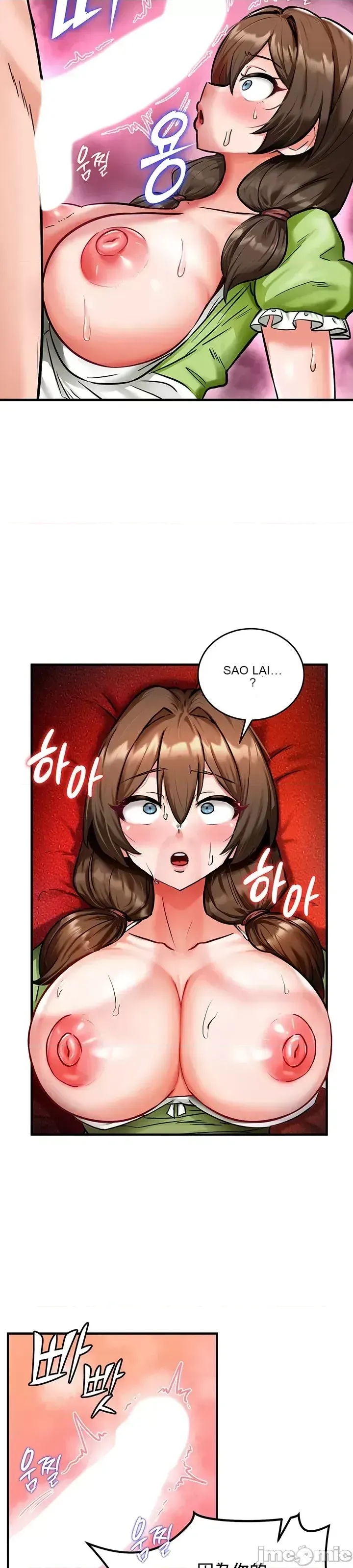 Hồ sơ phát triển cung điện sau khi tái sinh của một thế giới khác Chương 1-67