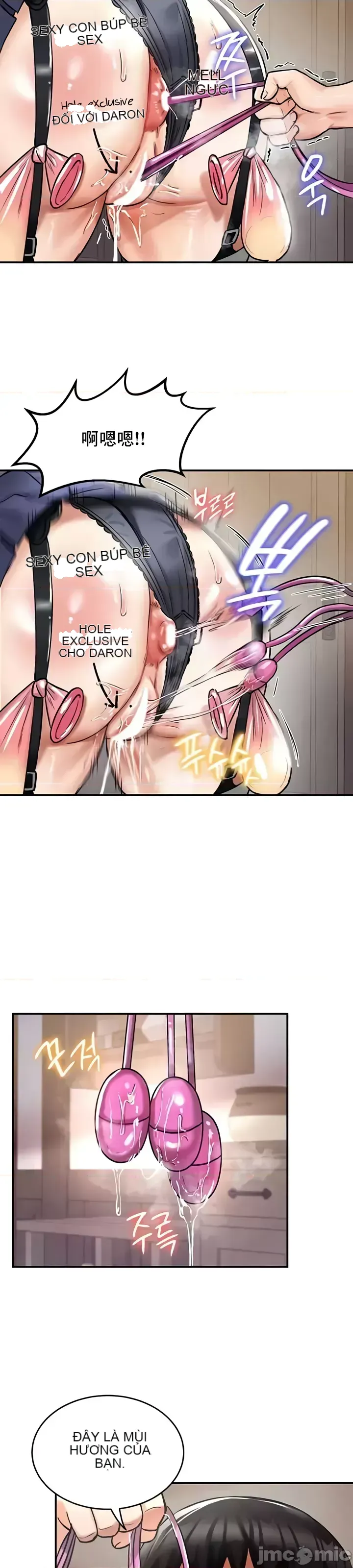 Hồ sơ phát triển cung điện sau khi tái sinh của một thế giới khác Chương 1-67