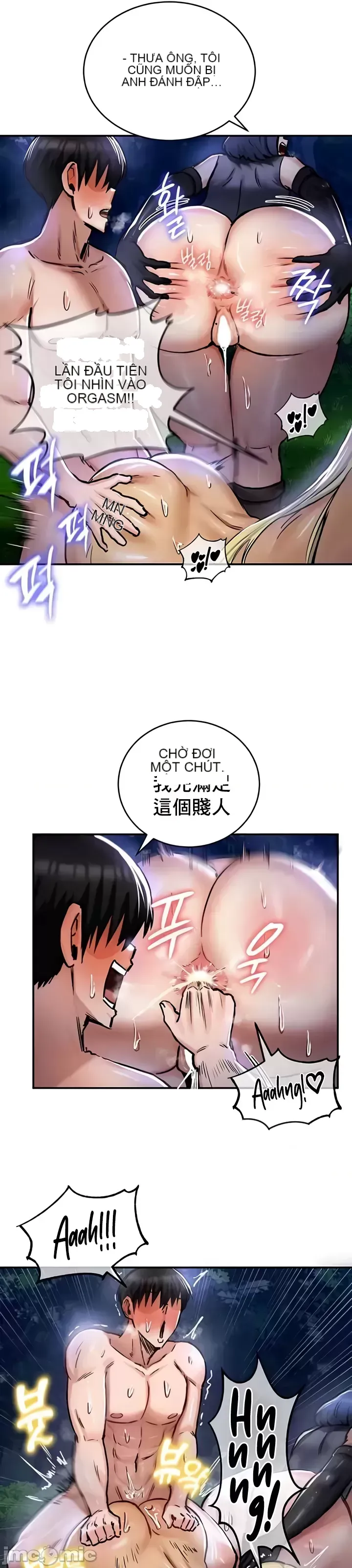 Hồ sơ phát triển cung điện sau khi tái sinh của một thế giới khác Chương 1-67