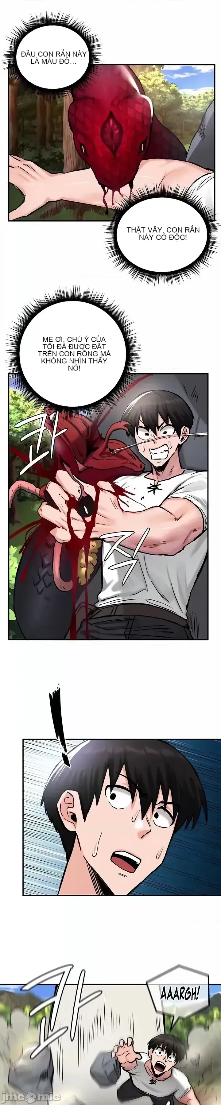 Hồ sơ phát triển cung điện sau khi tái sinh của một thế giới khác Chương 1-67