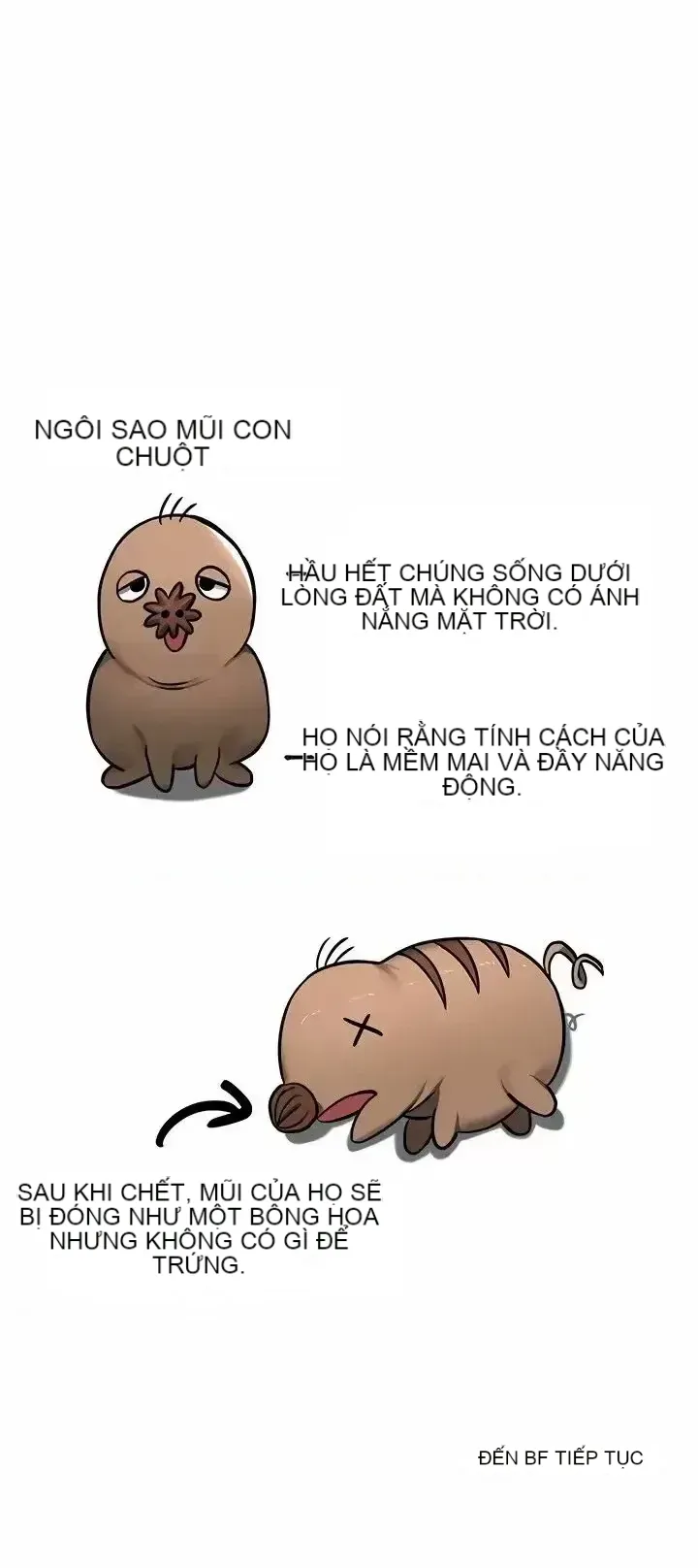 Hồ sơ phát triển cung điện sau khi tái sinh của một thế giới khác Chương 1-67