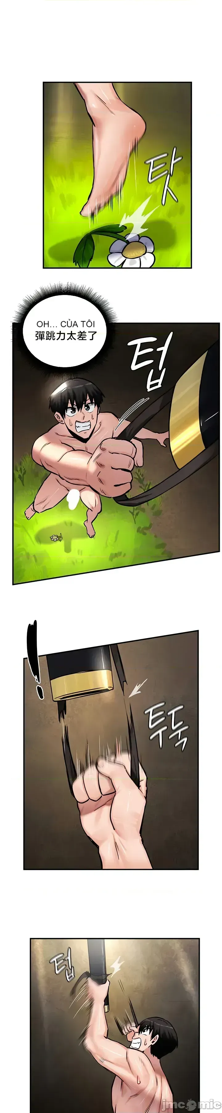 Hồ sơ phát triển cung điện sau khi tái sinh của một thế giới khác Chương 1-67