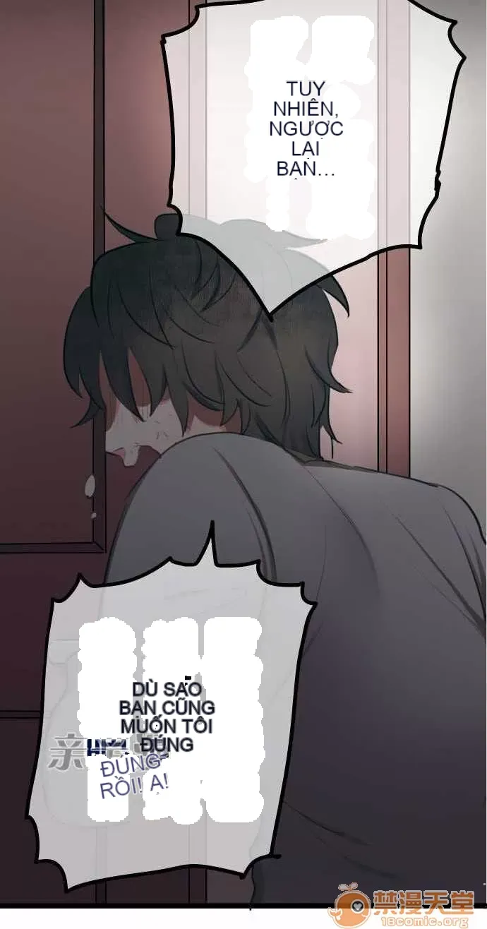 Tôi thích anh trai tôi, tôi phải làm sao? Chương 01-35