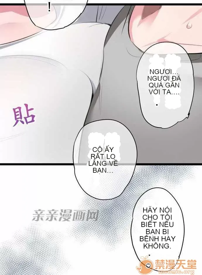 Tôi thích anh trai tôi, tôi phải làm sao? Chương 01-35