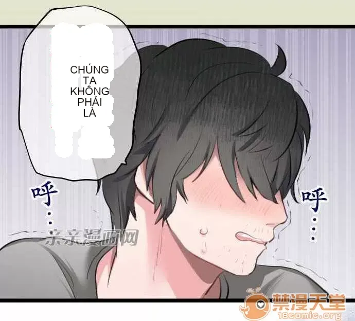 Tôi thích anh trai tôi, tôi phải làm sao? Chương 01-35