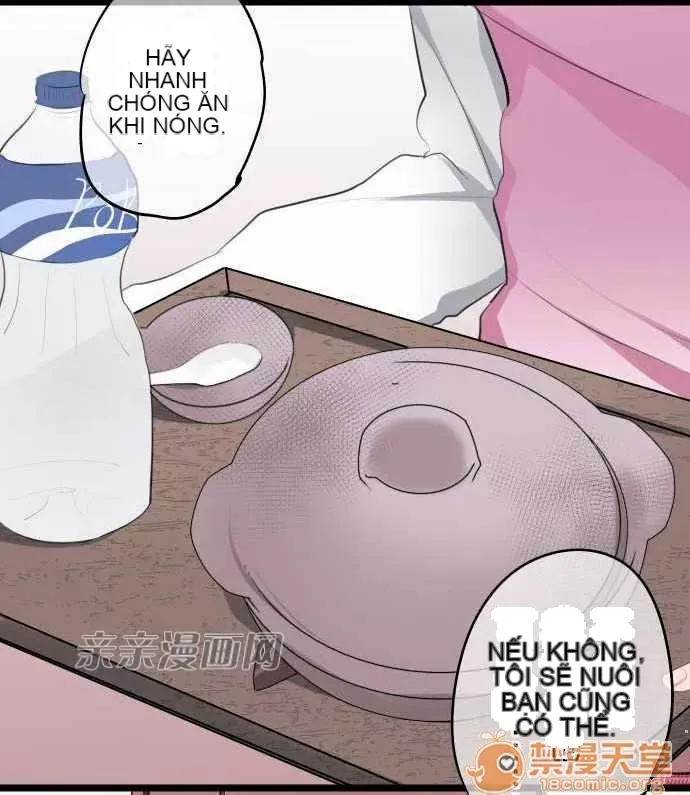 Tôi thích anh trai tôi, tôi phải làm sao? Chương 01-35