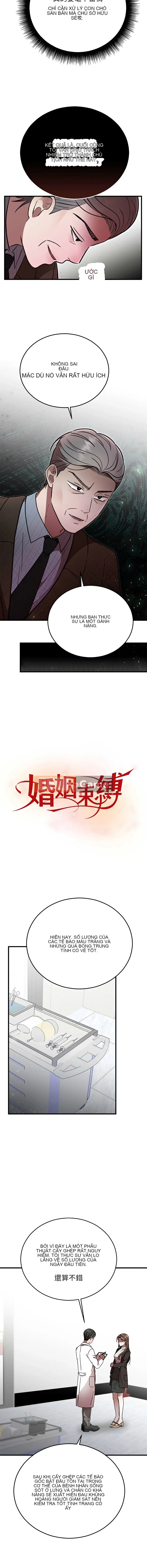 Sự ràng buộc hôn nhân Chương 50-51