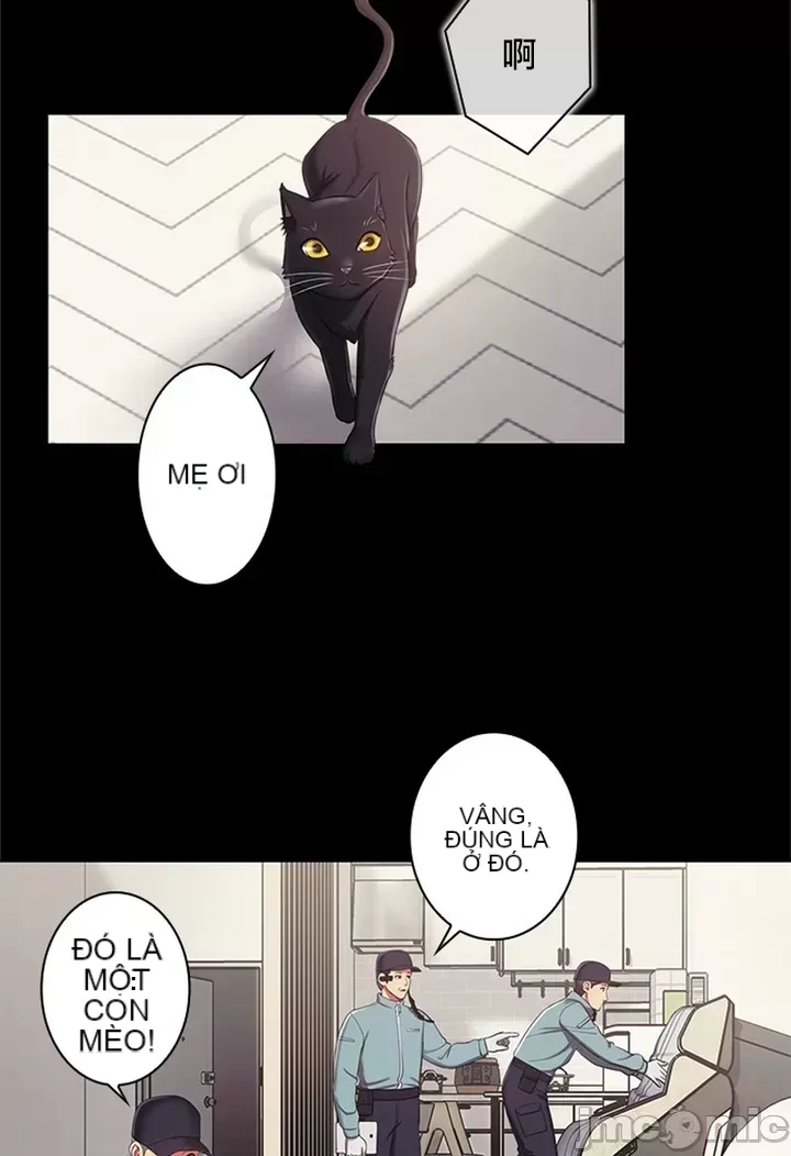 Thầy ơi, thầy có muốn cương cứng không/ Thầy ơi, xin thầy cương cứng lên Chương 1-50