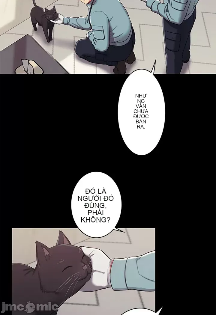 Thầy ơi, thầy có muốn cương cứng không/ Thầy ơi, xin thầy cương cứng lên Chương 1-50