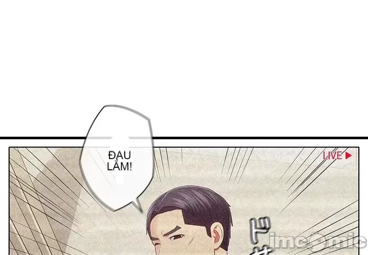 Thầy ơi, thầy có muốn cương cứng không/ Thầy ơi, xin thầy cương cứng lên Chương 1-50